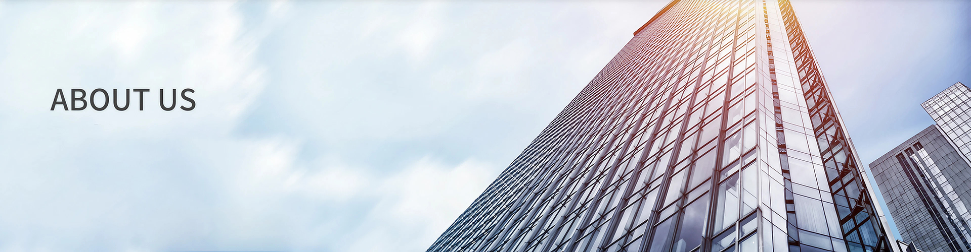 Company Profile