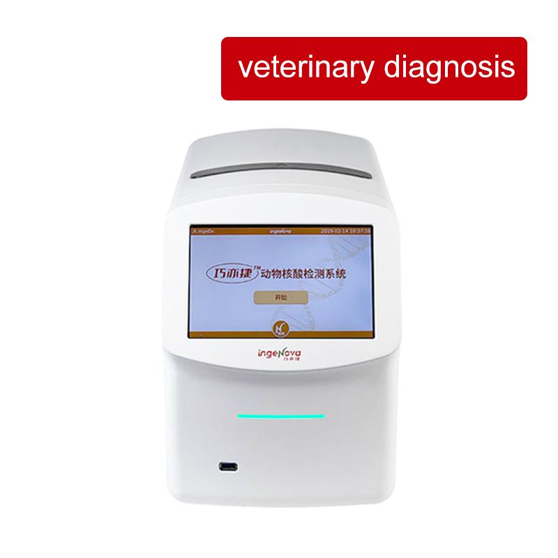 Compared with traditional veterinary diagnostic methods, what significant improvements does the AccordQuick system have in diagnostic efficiency and accuracy?